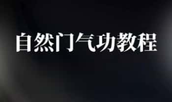 自然门气功真传系列 6集视频