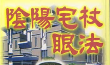 凌德修《阴阳宅杖眼法》317页.PDF电子书