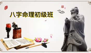 龙诗雅《八字命理初级班》教学视频 63集