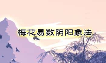 易阳生老师《梅花易数阴阳象法》121页.PDF电子版