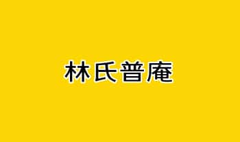 《林氏普庵法》37页.PDF电子版