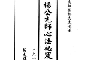 杨太雄《杨公先师心法秘笈》上册+下册.PDF电子版