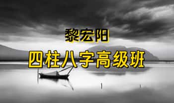 黎宏阳《四柱八字高级班》教学视频31集