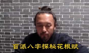 灯明易海《盲派八字探秘花根赋》视频教学20集