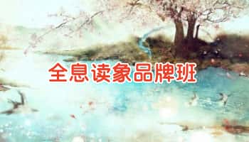 庞枫栖老师【全息读象品牌班】视频课10集,52小时