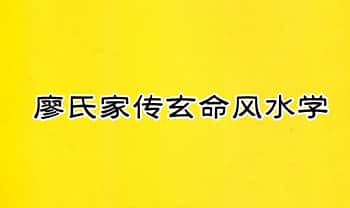廖民生《廖氏家传玄命风水学》全套4册.PDF电子版