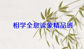 庞枫栖【相学全息读象精品班】8集视频