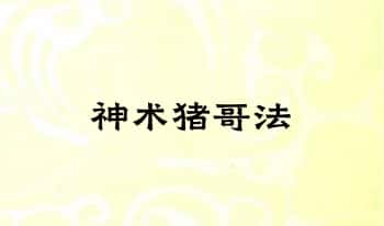 【神术猪哥法】6页PDF电子版