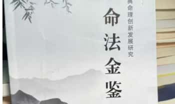 朱瑞祥《命法金鉴》355页.PDF电子版