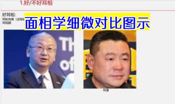 《面相学细微对比图示》286页.PDF电子版