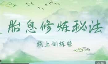 【胎息修炼秘法】视频课7集