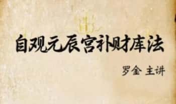 罗金【自观元辰宫补财库法】音频课+课件