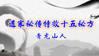 青龙山人《道家秘传特效十五秘方》PDF电子文档