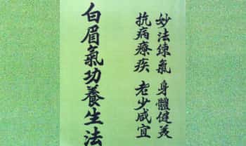揭谛大师 《白眉气功养生法》75页.PDF电子版