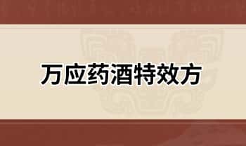 高价秘方【万应药酒特效方】pdf电子文档
