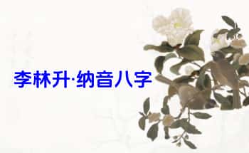 李林升【纳音八字】音频课17集+文档