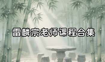 雷麟宗老师课程合集