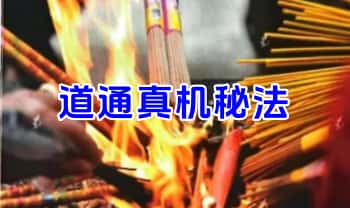 《道通真机秘法》78页.PDF电子版