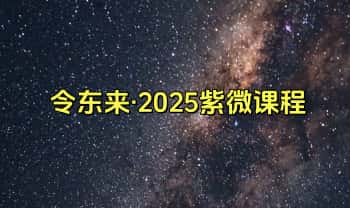令东来【2025紫微课程】视频课13集