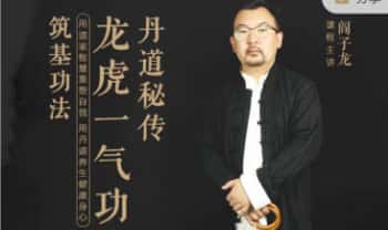 阎子龙【丹道秘传 筑基功法（龙虎一炁功）】10集视频