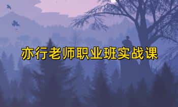 亦行老师【职业班实战课】子平+滴天髓+盲派 视频39集
