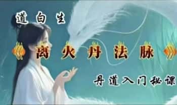 道白生《离火丹法脉 》丹道入门秘课 9集视频