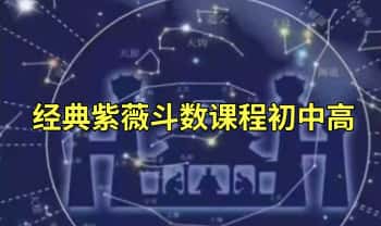 盖娅【经典紫薇斗数课程】初中高全套教学视频