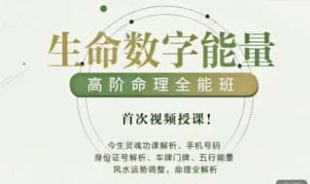 【生命数字高阶训练营】生命灵数、手机号码、五行、风水全解析15集视频