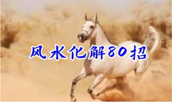 《风水化解80招》上下2册 共80页.PDF电子版