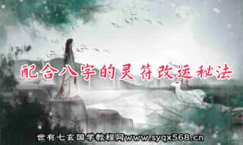 王士文《配合八字的灵符改运秘法》341页.PDF电子版