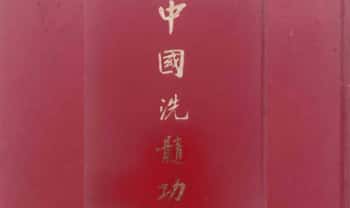 《中国洗髓功》353页.PDF电子版