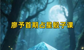 廖予【首期占星骰子课】6集视频+文档