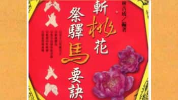 林吉成《斩桃花祭驿马要诀》359页.PDF电子版
