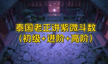 泰国老正讲紫微斗数（初级+进阶+高阶）视频90集