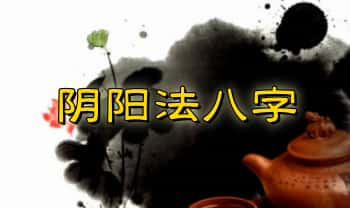 冬阳《阴阳法八字》精华核心内容 289页.PDF电子版