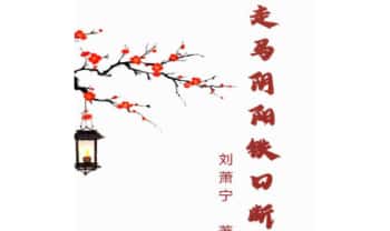 刘萧宁《走马阴阳铁口断》460页.PDF电子版