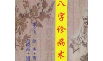 董介飞、赵杰《八字诊病术》438页.PDF电子版