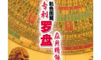 马圣仑《专利罗盘应用精解》263页.PDF电子版