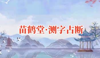苗鹤堂《测字占断》59集视频