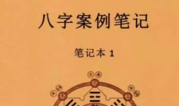 《八字案例笔记》内部资料一套两本 ，PDF电子版