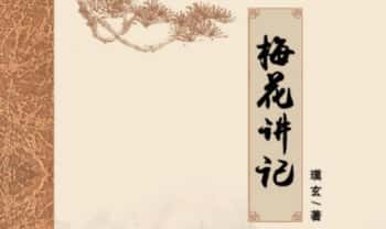 璞玄大师《梅花讲记》梅花金口诀 389页.PDF电子版