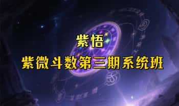 紫悟【紫微斗数第三期系统班】视频课48集