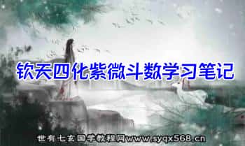 陈小飞《钦天四化紫微斗数学习笔记》67页.PDF电子版