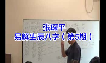 张琛平【易解生辰八字梅花 第5期】视频课10集