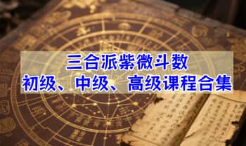 巢谷师兄《三合派紫微斗数初、中、高课程合集》视频86集