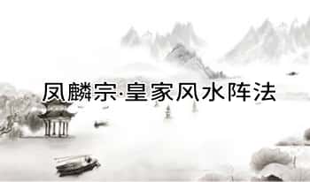 凤麟宗【皇家风水阵法】音频+文档
