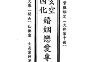 正玄山人《紫微斗数玄空四化婚姻恋爱专论》316页.PDF电子版