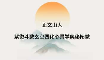 正玄山人《紫微斗数玄空四化心灵学奥秘阐微》314页.PDF电子版
