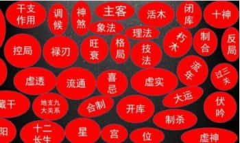 德皓老师【八字笔记】80页.PDF电子版