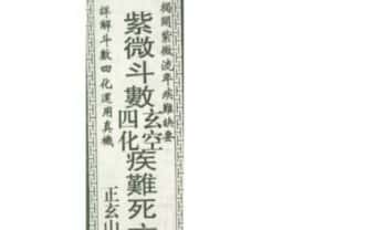 正玄山人《紫微斗数玄空四化疾难死亡阐微》295页.PDF电子版